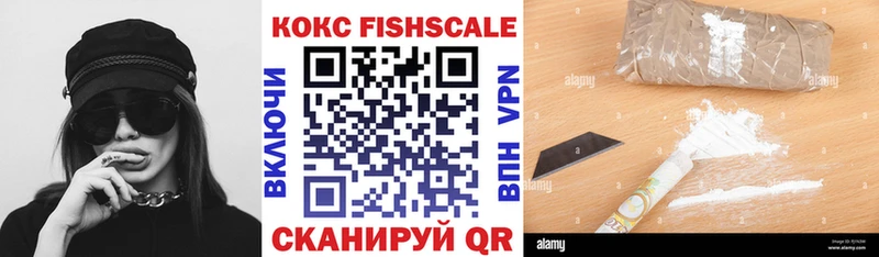 COCAIN Fish Scale Зуевка
