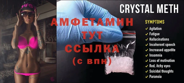 PSILOCYBIN Вяземский
