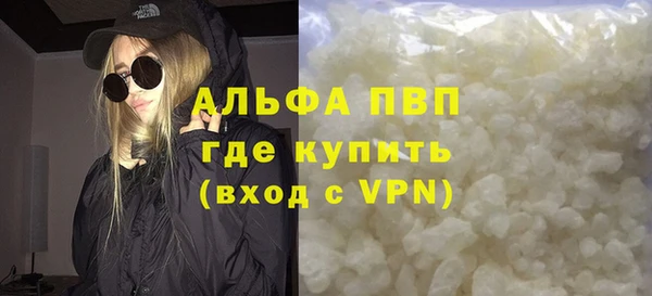 PSILOCYBIN Вяземский