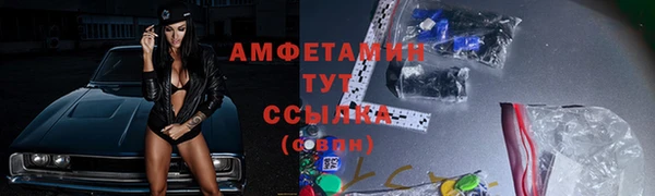 PSILOCYBIN Вяземский