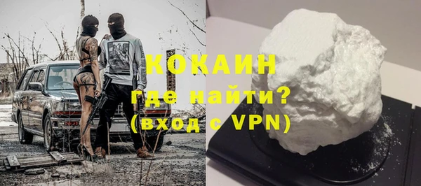 PSILOCYBIN Вяземский