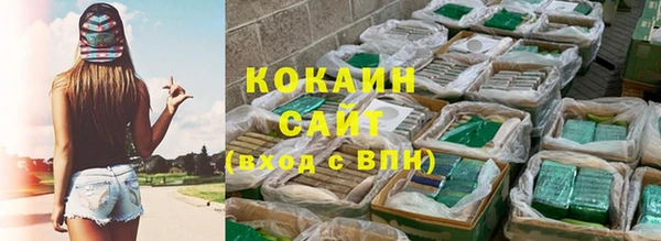 PSILOCYBIN Вяземский