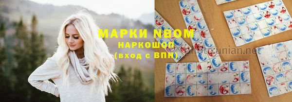 PSILOCYBIN Вяземский