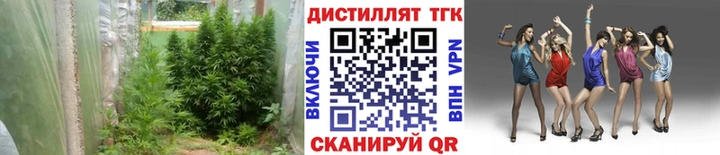 наркотики  Зуевка  Дистиллят ТГК концентрат 